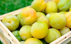 Ameixa Rainha Cláudia d'Elvas