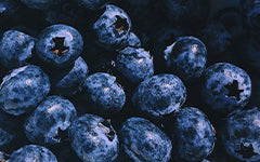 Mirtilos e Amoras Biológicas