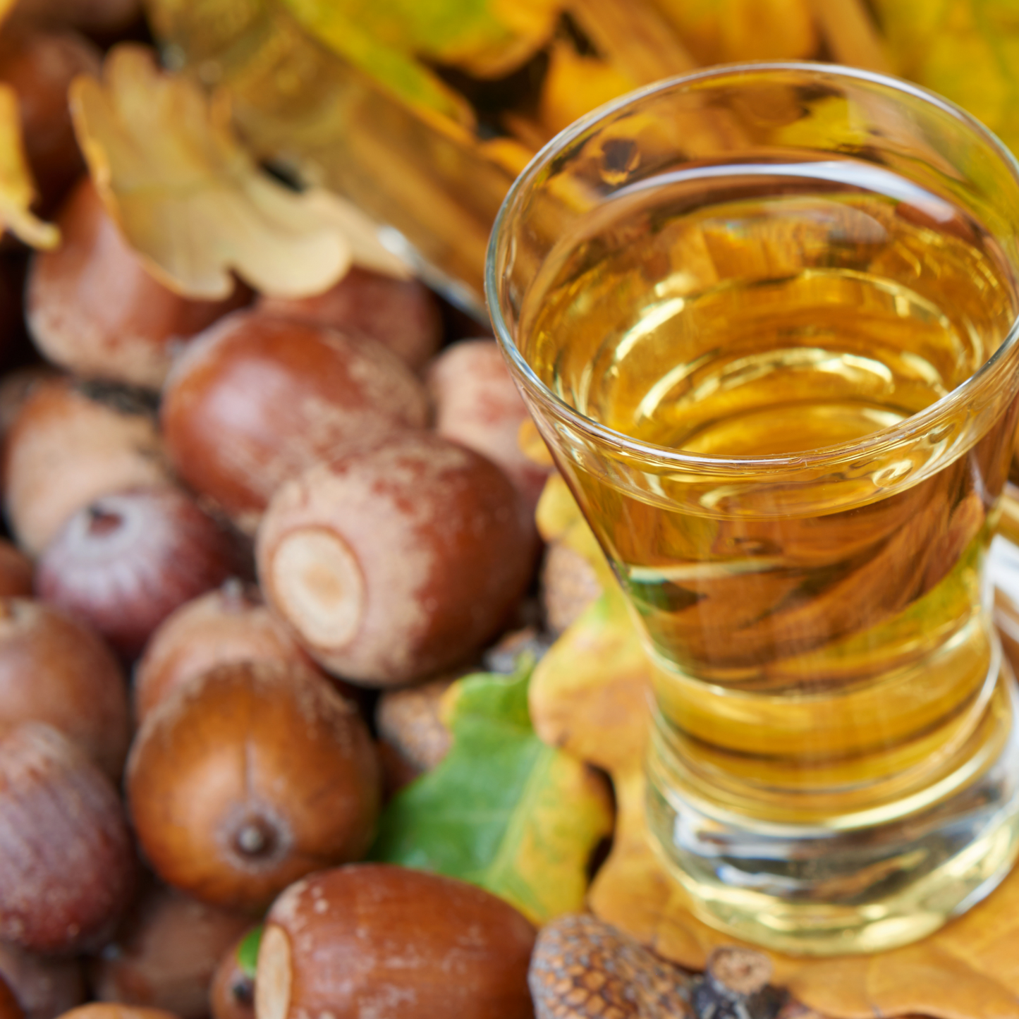 PACK 6 Licores e Azeites – Edição Natal  - meia.dúzia, sabores de de Portugal